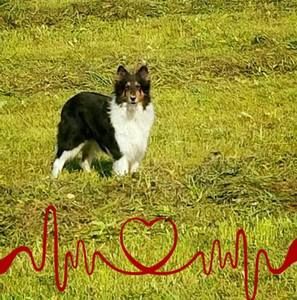 Meet your Posher, Martha